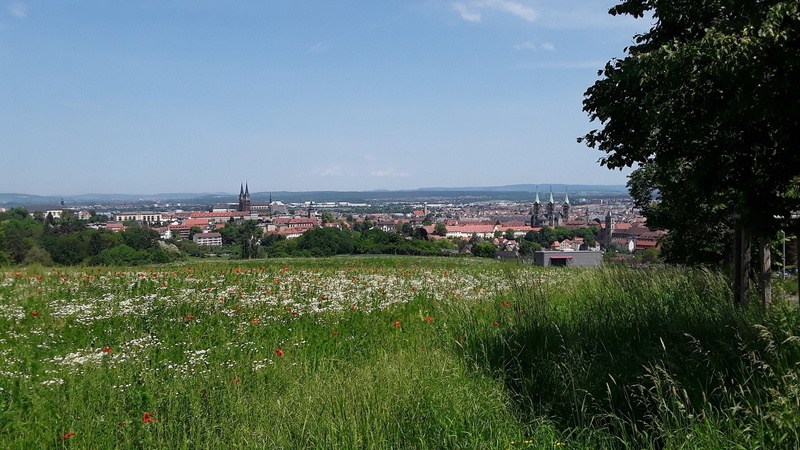 nature, building, cityscape, flower, view, outdoors, 1080P, building exterior, spring, tree, sea, altenburg, no people, sky, water, land, day, flowering plant