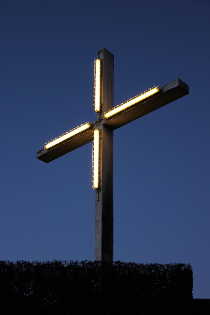 no people, catholicism, blue, clear sky, nature, lighting, tree, plant, forgiveness, jesus Christ, copy space, spirituality, day, low angle view, wood - material