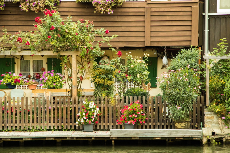 water, day, plant, places of interest, historic old town, historically, building, flower pot, growth, potted plant, 5K, historic home, flower, freshness