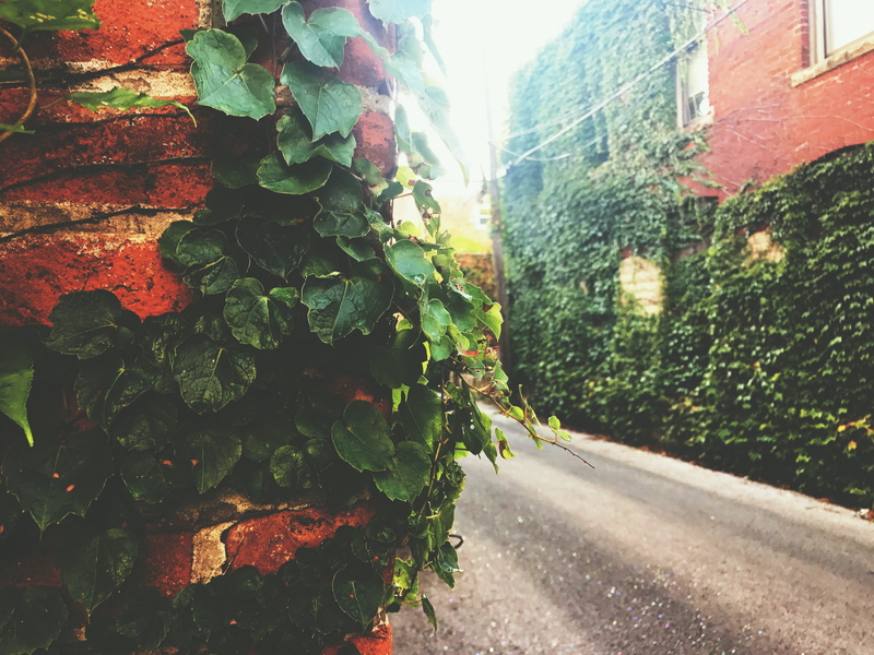 no people, transportation, 7plus, plant part, building, plant, green color, built structure, flare, brick, iphone, united states, 4K, architecture, sunlight