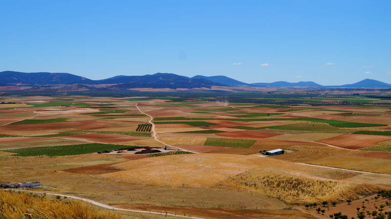 cervantes, la mancha, outdoors, agriculture, no people, idyllic, tourism, 5K, spain, scenics - nature, land, tranquility, rural scene, landscape, ecology