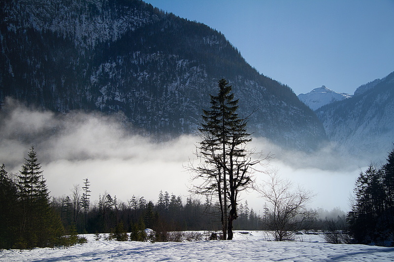 snowcapped mountain, berchtesgaden national park, mountain range, scenics, bartholomä st, snowing, cold temperature, beauty in nature, pine woodland, coniferous tree