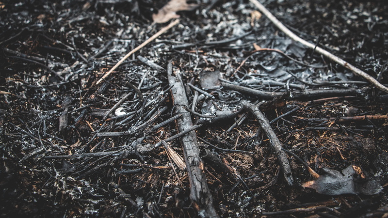 dust, snow, sticks, valparaiso, dry, no people, charcoal, close-up, burnt, winter, ash, ashes, textured, nature, dirty, plant part, day, dirt, land, plant