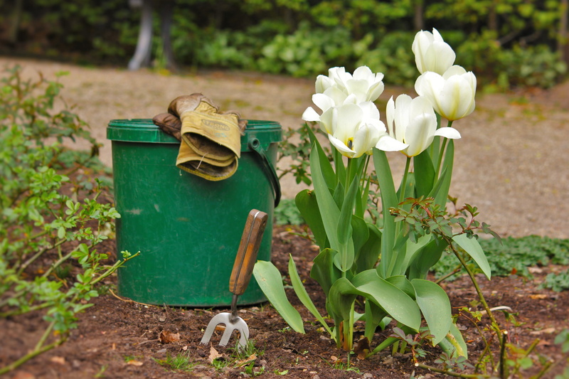 leaf, outdoors, land, fragility, beauty in nature, landscape gardener, green, 4K, tiergarten, petal, white, field, no people, bucket, container, garden tools