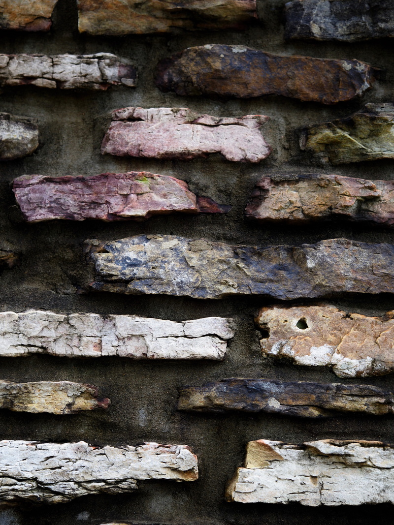 archaeology, cobblestone, damaged, nature, plant, old, architecture, built structure, stone wall, 5K, close-up, stack, bulldog, solid, animal, rust, textured