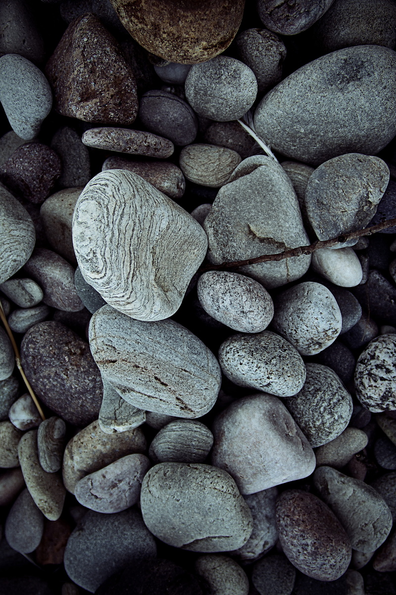 path, rug, pile, textured, backgrounds, solid, portrait, full frame, sidewalk, asleep, finch, abundance, pebble, day, gray, close-up, still life, photo
