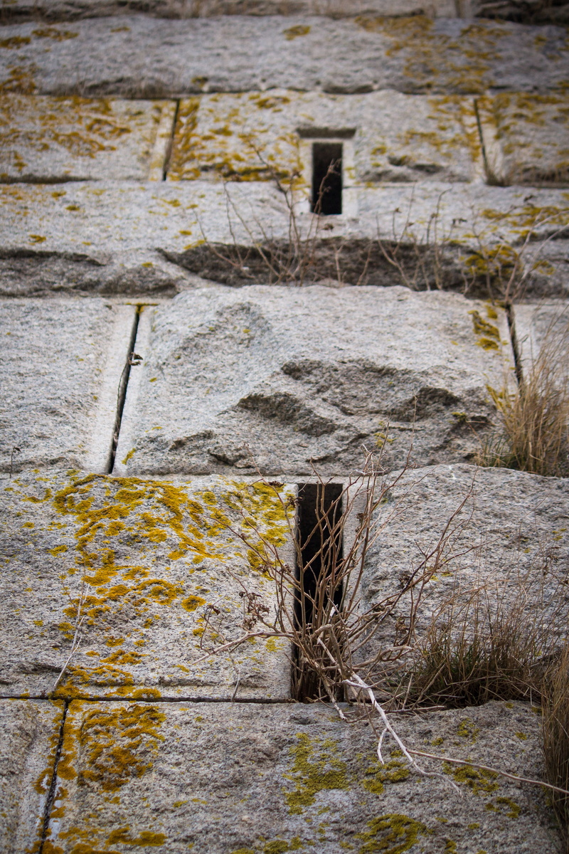 tomb, wood - material, built structure, cobblestone, rubble, soil, limestone, rock, outdoors, flower, wall, plant, stone material, building exterior, archaeology