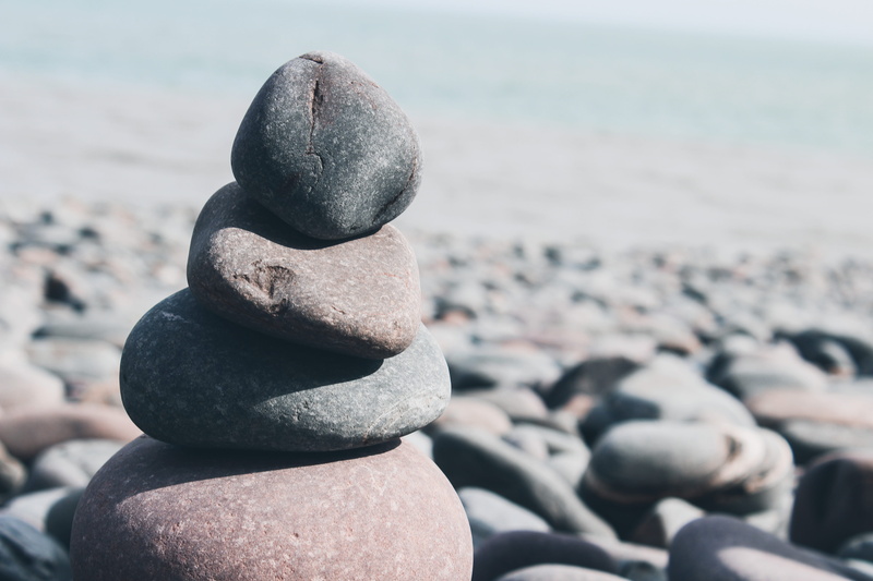 animal, rock - object, wren, nature, day, portrait, solid, land, selfie, driftwood, wood, stack, tranquility, sidewalk, stone, photo, pavement, photography