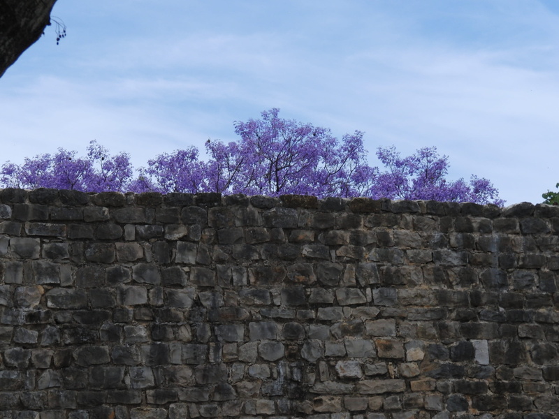 outdoors, arbour, stone wall, plant, blossom, nature, built structure, pavement, cloud - sky, building, history, wall - building feature, 2K, path, building exterior