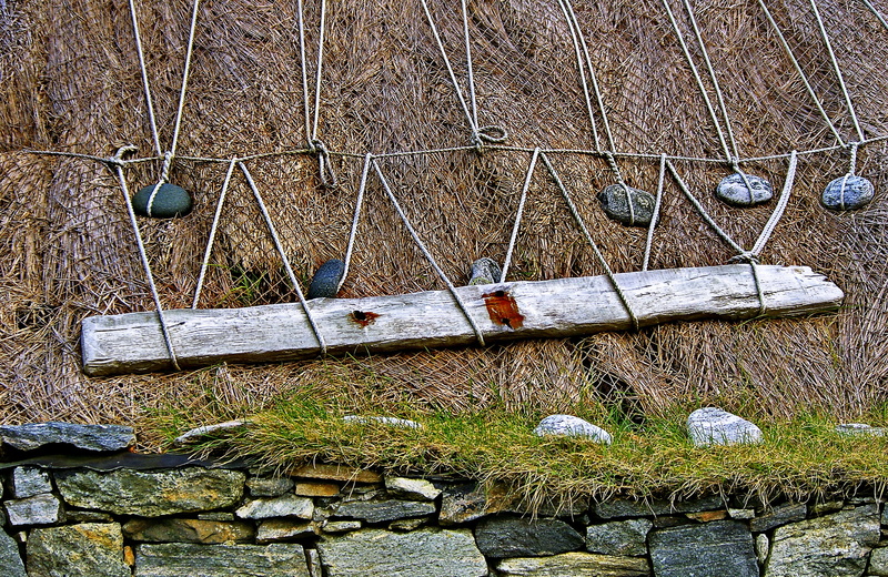 no people, brown, 2K, plant, transportation, wall - building feature, ground, metal, flagstone, rope, banister, walkway, dirt road, handrail, rubble, net
