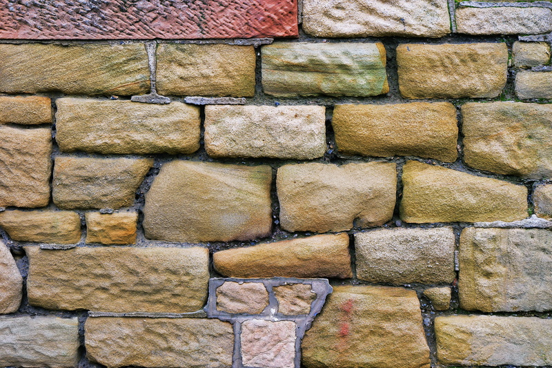 moss, arrangement, foxglove, brick, 2K, close-up, slate, pavement, architecture, rock, pattern, wall, no people, bricked, closeup, repetition, side by side