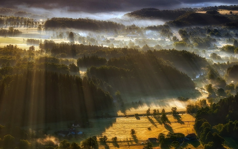 sun rays, sunlight, sunbeam, idyllic, no people, land, hills, tranquility, forest, tranquil scene, landscape, environment, field, streaming, beauty in nature