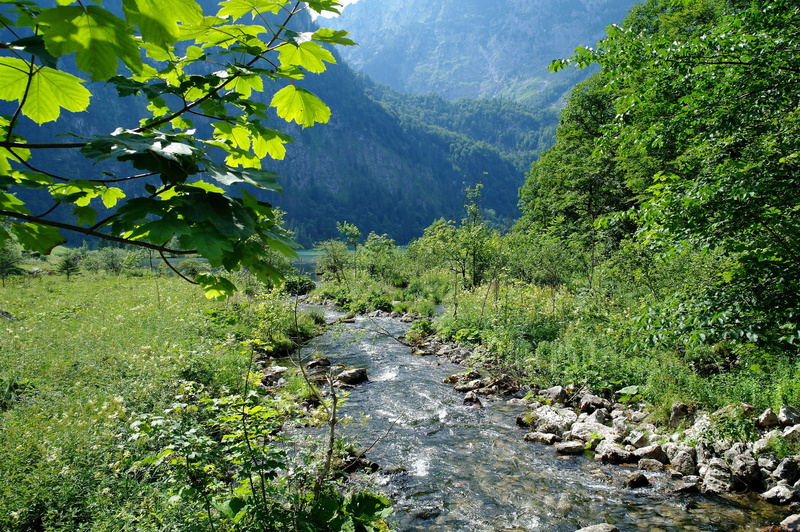 landscape, outdoors, scenics - nature, green color, holiday, beauty, beautiful, day, no people, berchtesgaden, forest, mountains, flowing water, more, land