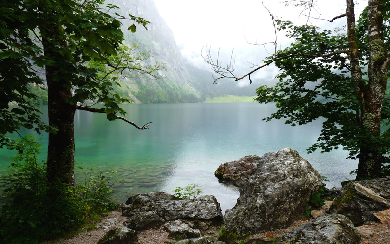 fog, idyllic, bavaria, growth, flowing water, water, beauty in nature, outdoors, solid, tranquility, plant, no people, non-urban scene, tree, rock, rock - object