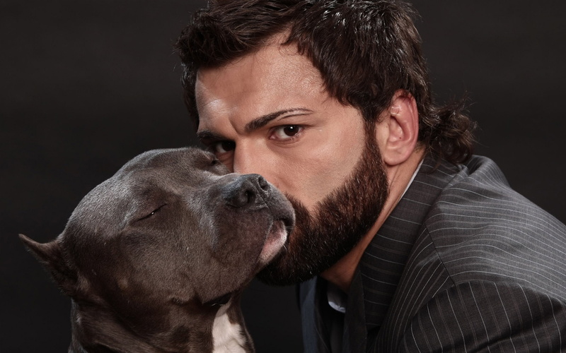 ufc, Belarusian, Nationality, andrei arlovski, fighter backgrounds, 4K, dog