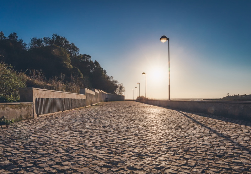 cobbled, tree, empty, dusk, paving stone, city, street light, diminishing perspective, sunlight, plant, sunset, clear sky, cobblestone, path, road, street