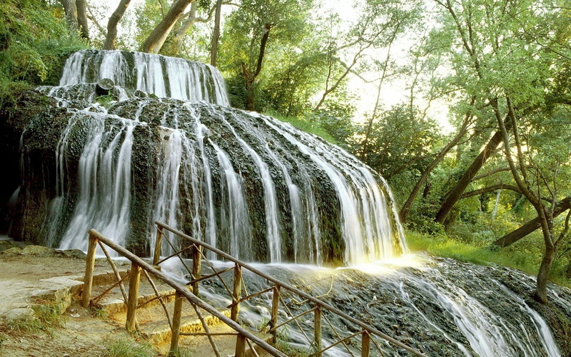 leaf, park - Man Made Space, environment, scenics - nature, forest, growth, plant, solid, falling, brown, purity, tree, flowing Water, falling water, woodland