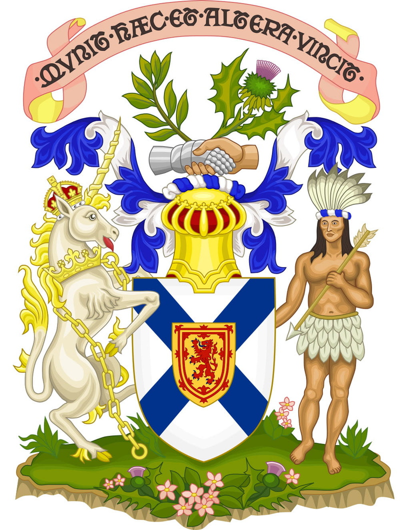insignia, plant, coat of arms, nova, text, art and craft, leaf, crown, real people, front view, illustration, communication, western script, flag, lifestyles