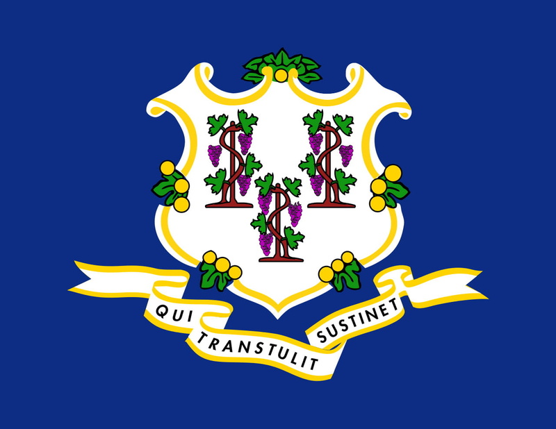 outdoors, insignia, animal, craft, Flag of Connecticut, sign, emblem, royalty, symbol, decoration, star shape, blue background, communication, art and craft