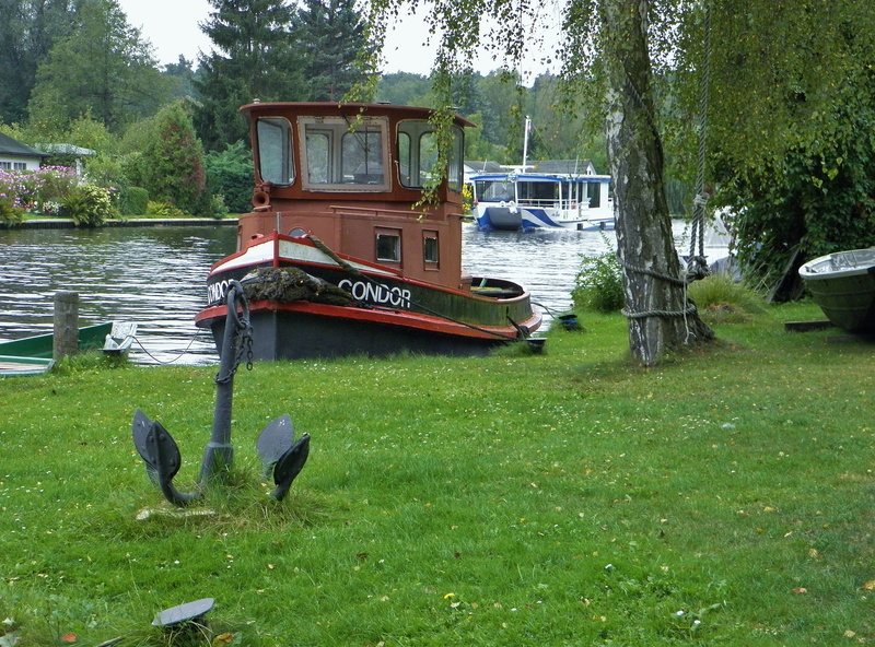 animal themes, outdoors, day, Water, plant, spree, no people, grass, vertebrate, lake, Fishing Boat, bird, ship, river, group of animals, nature, berlin