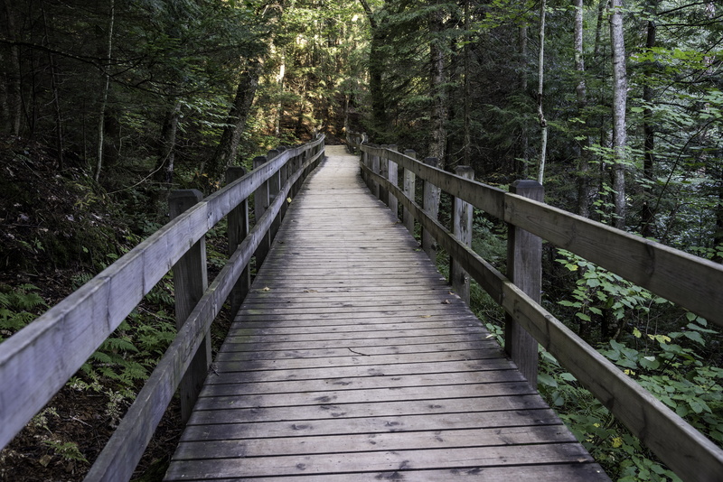 photos, land, diminishing perspective, upper michigan, falls, tree, footpath, green Color, nature, walkway, Michigan, bridge - Man Made Structure, scenics