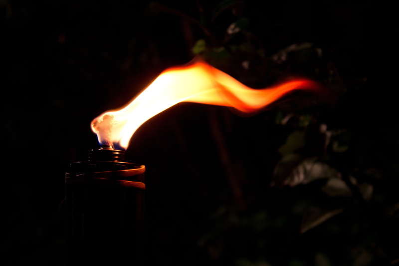 night, no people, closeup, close-up, fire - natural phenomenon, black color, studio shot, glowing, nature, fire, illuminated, lighted, red, torch, burning