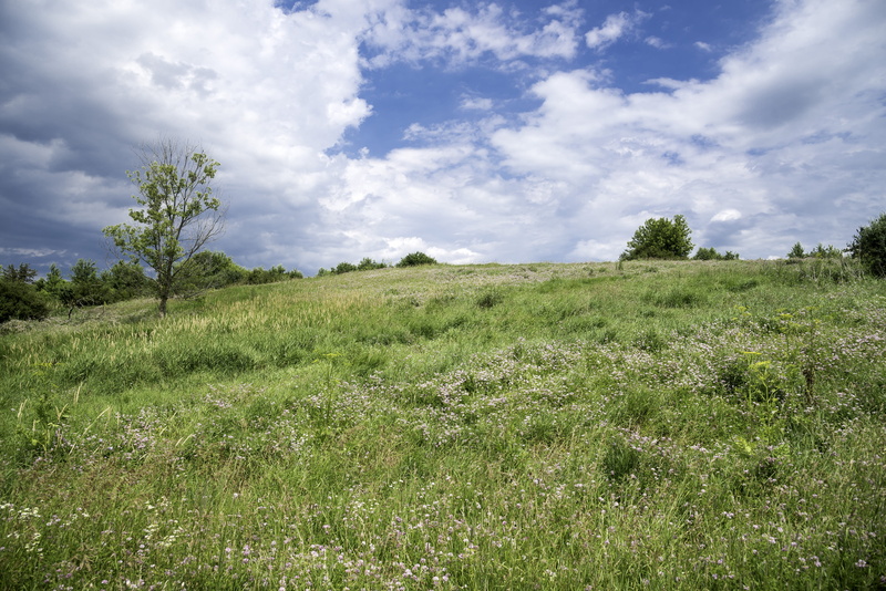 Goose Lake, wildlife, blue, no People, summer, land, beauty In Nature, grass, outdoors, public domain, hill, meadow, clouds, area, scenics - nature, springtime