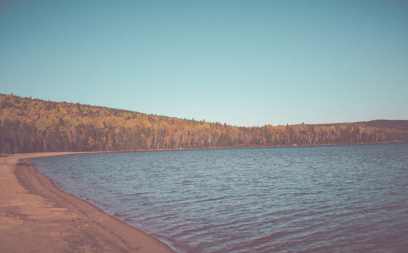 Forest, Beach, non-urban scene, woods, Trees, Brown, beauty in nature, Shore, water, day, copy space, Lake, Blue, Fall, Nature, Wood, land, waterfront