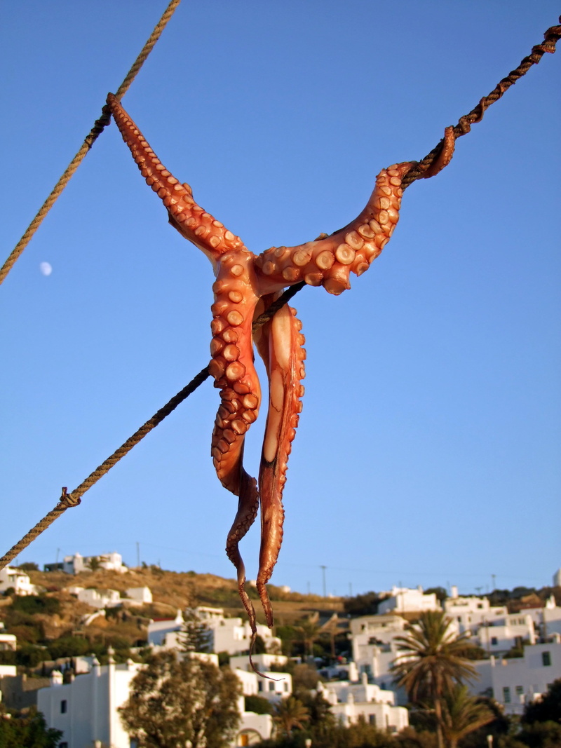 architecture, squid, day, clear sky, focus on foreground, blue, cyclades, hanging, outdoors, rope, building exterior, built structure, octopus, fragility