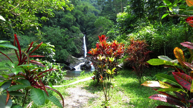 foliage, house, forest, tree, plant, beauty in nature, no people, scenics - nature, flowing water, leaf, nature, water, tranquil scene, yard, flora, green color
