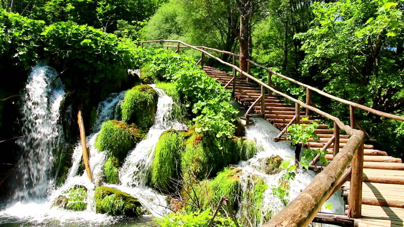 tract, plot, garden, nature, 1080P