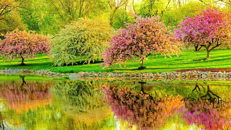 park, forest, landscape, grass, garden, tree, old, flower, outdoor, plant, spring, natural, 1080P, plot, yard, summer, tract, nature