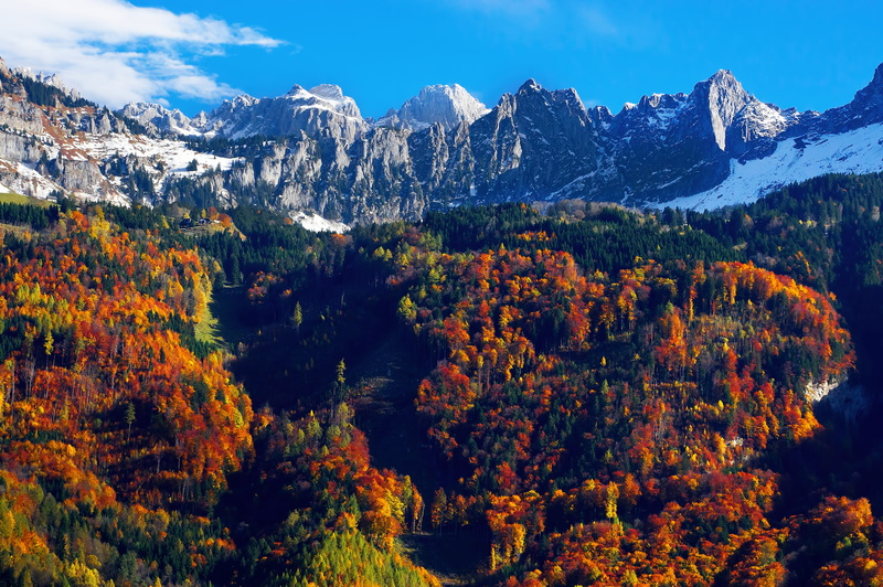 sky, tranquility, cloud - sky, growth, switzerland, nature, scenics - nature, snowcapped mountain, no people, trees, red, mountain, color, 5K, autumn collection