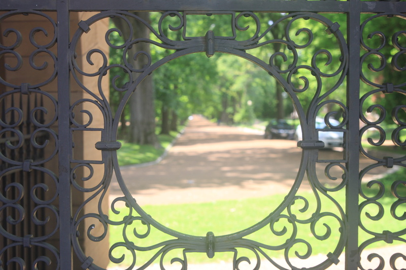 ornate, plant, green color, safety, gate, outdoors, gates, metal, focus on foreground, united states, nature, architecture, iron - metal, pattern, gated community