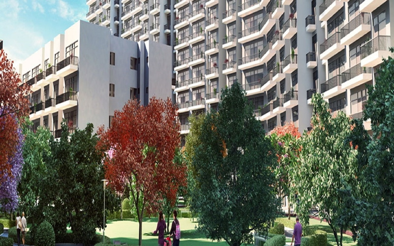 residential, 720P, gurgaon, property, project, affordable