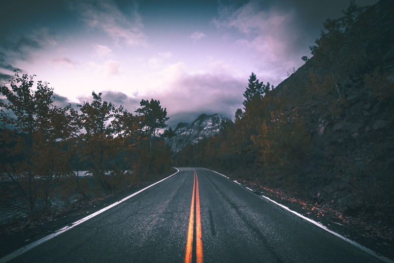 plant, trees, tarmac, dividing line, beauty in nature, vanishing point, the way forward, kangaroo, cloud - sky, road, 5K, no people, sign, united states