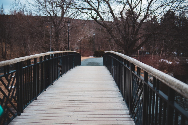 cottage, forest, pedestrian, bare tree, staircase, outdoors, path, suspension bridge, wood - material, nature, view, architecture, the way forward, porch