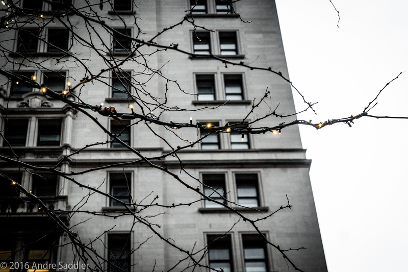 outdoors, lights, power supply, building, power line, apartment, electricity, bare tree, city, urban, building exterior, twigs, built structure, complexity