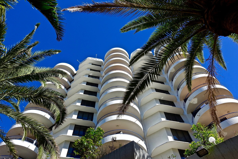 tropical tree, high-rise, coconut palm tree, tropical climate, outdoors, clear sky, apartment, city, sky, building, day, blue, skyscraper, office building exterior