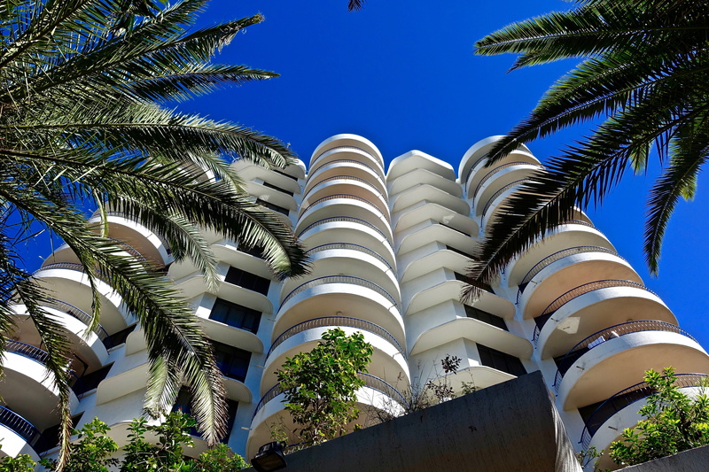 plant, building, no people, high-rise, architecture, tree, complex, nature, day, low angle view, sunlight, building exterior, condos, palm tree, tropical tree