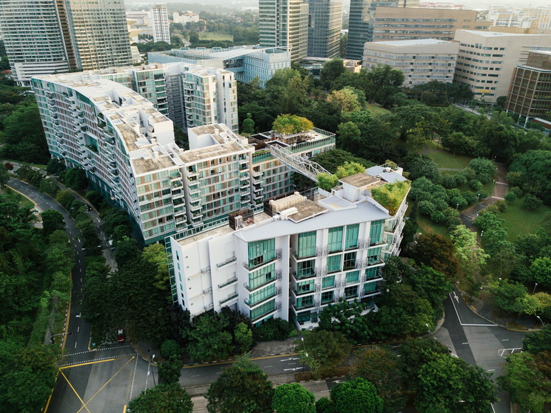 look down, neighborhood, building complex, firs, apartment, trees, building, roof tops, office, tree, outdoors, photo, growth, day, city, 4K, aerial, white