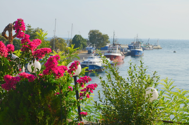 no people, bulgaria, nautical vessel, vulnerability, mode of transportation, tree, beauty in nature, sailboat, flowers, plant, ships, nature, growth, transportation