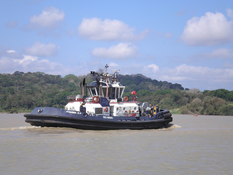 panama canal, travel, tug, tree, nautical, maritime, harbor, sea, nature, water, canal, tugboat, mode of transportation, no people, 2K, cruise ship, day
