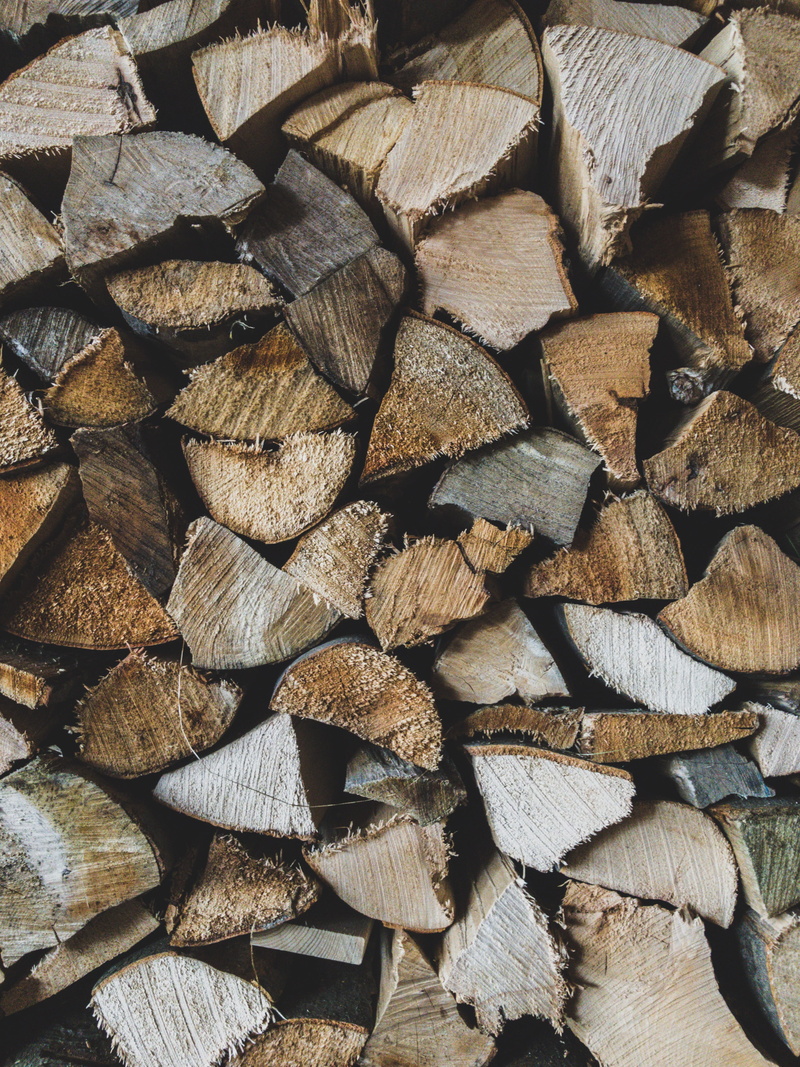 tugboat, lumber, sliced, rug, lumber industry, pattern, woodpile, forest, tree, firewood, deforestation, wood, tree stump, stack, fungus, timber, boat