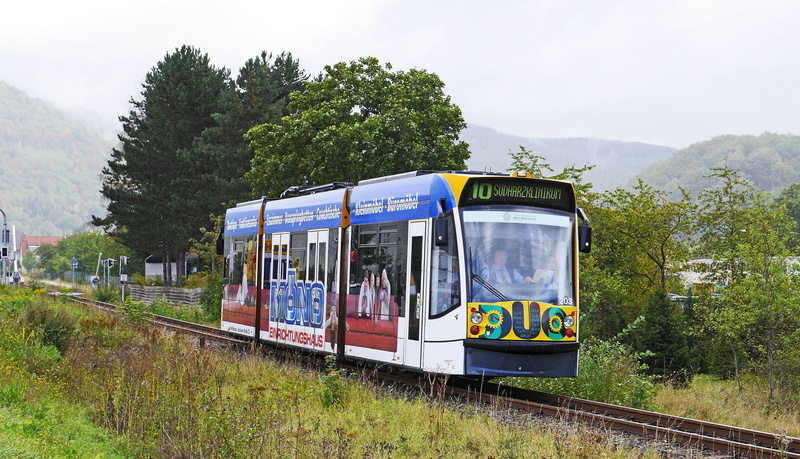 passenger train, public transportation, sky, meter track, railroad track, Hybrid, railroad car, Tram, tree, arrival, leaving, regional train, grass, südharz