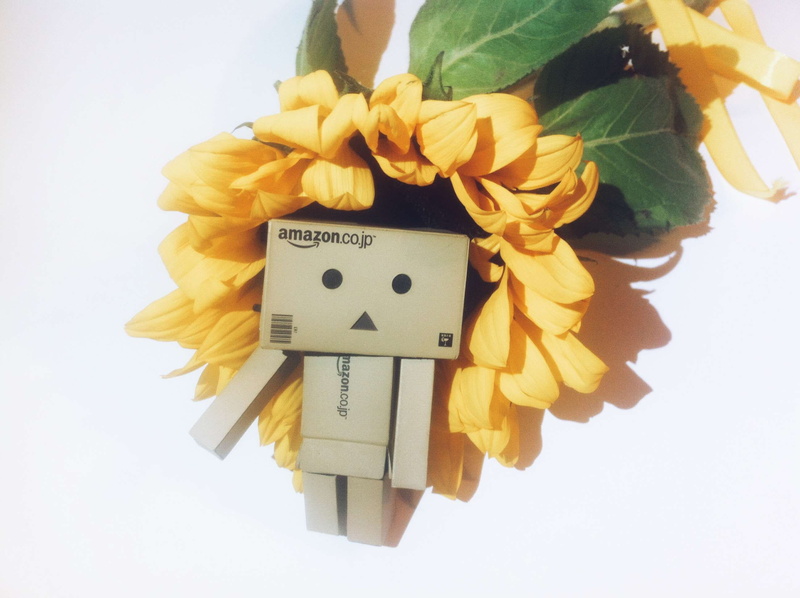 petal, no people, flower head, freshness, flower, creativity, toy, bunch of flowers, studio shot, art and craft, revoltech, pandariusz, still life, sunflower