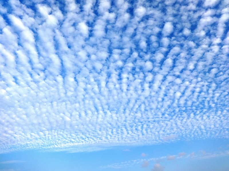nature, softness, sky, environment, scenics - nature, cirrus, cloud - sky, outdoors, cloudscape, textured, no people, 4K, weather, tranquil, full frame