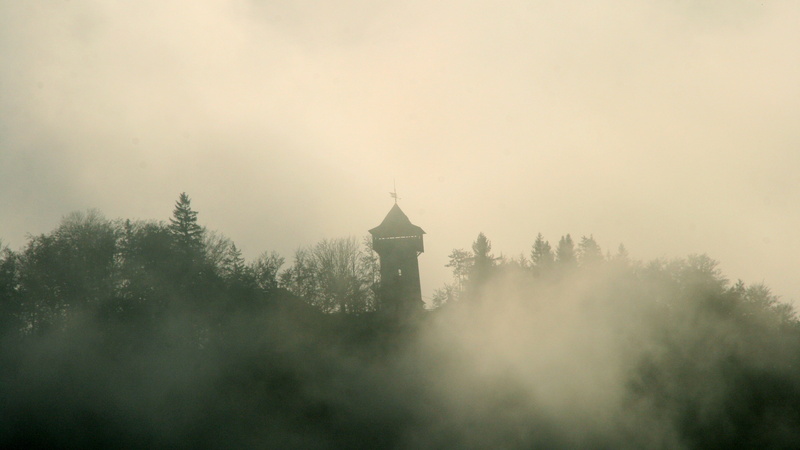 city, textured effect, autumn mood, nature, mist, sky, Architecture, plant, environment, building, morning, Building, 4K, tree, cityscape, forest, mystical