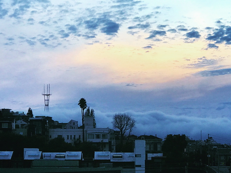 plant, fog, 4K, building, cloud - sky, building exterior, sutro tower, built structure, dusk, architecture, beauty in nature, land, outdoors, house, residential district