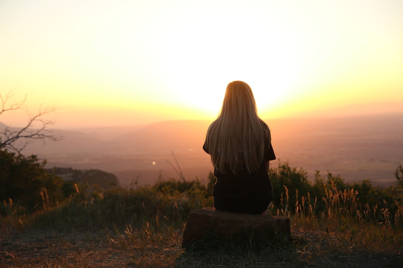 sun, orange color, hair, sunset, rock, field, woman, rear view, lifestyles, plant, women, tranquility, facing, real people, female, imagination, hairstyle